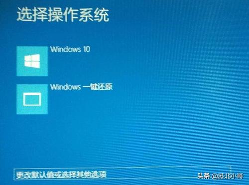 win10电脑开机蓝屏进不了系统,win10电脑开机进不了bios
