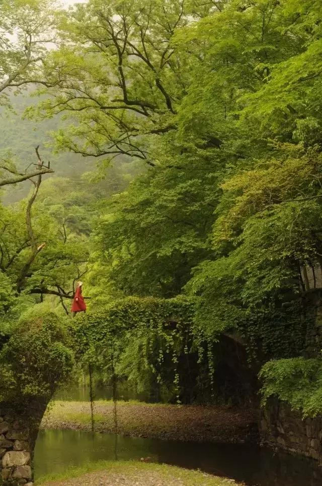 绍兴新昌一日游最佳景点,知否新昌取景地