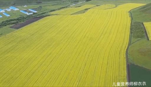 暑假内蒙古旅游攻略亲子,暑假亲子游玩内蒙古5天4夜