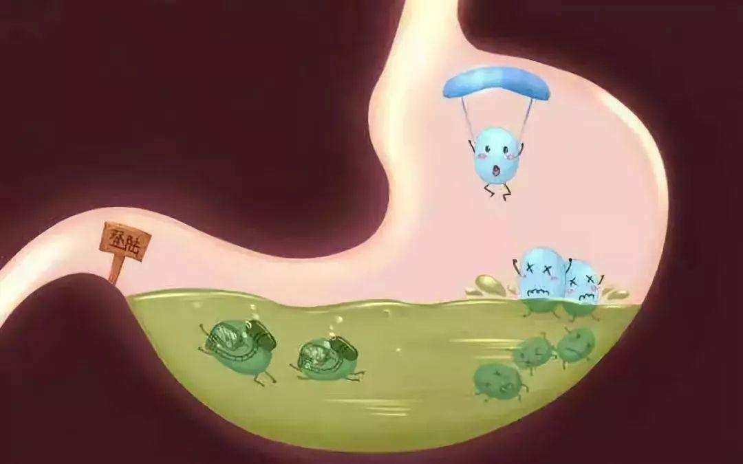 食物链蛇能被牛吃掉吗,牛为什么吃蛇