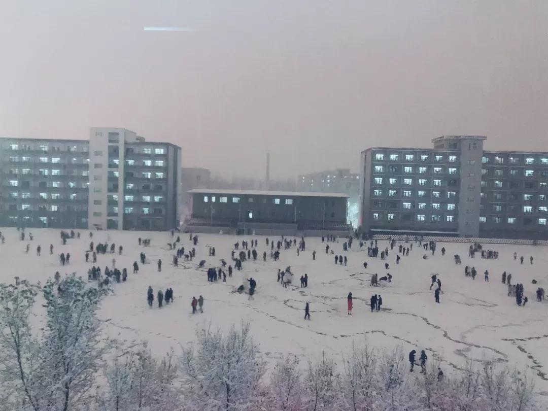 辽宁中医药大学杏林学院独立学院,辽宁中医药大学三个校区