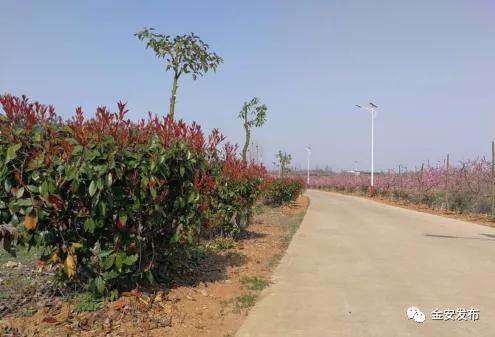 有变化！有成效！中店乡路好景美润万家！