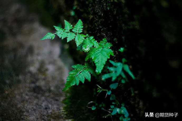 投资风险与收益平衡,怎么平衡收益和风险