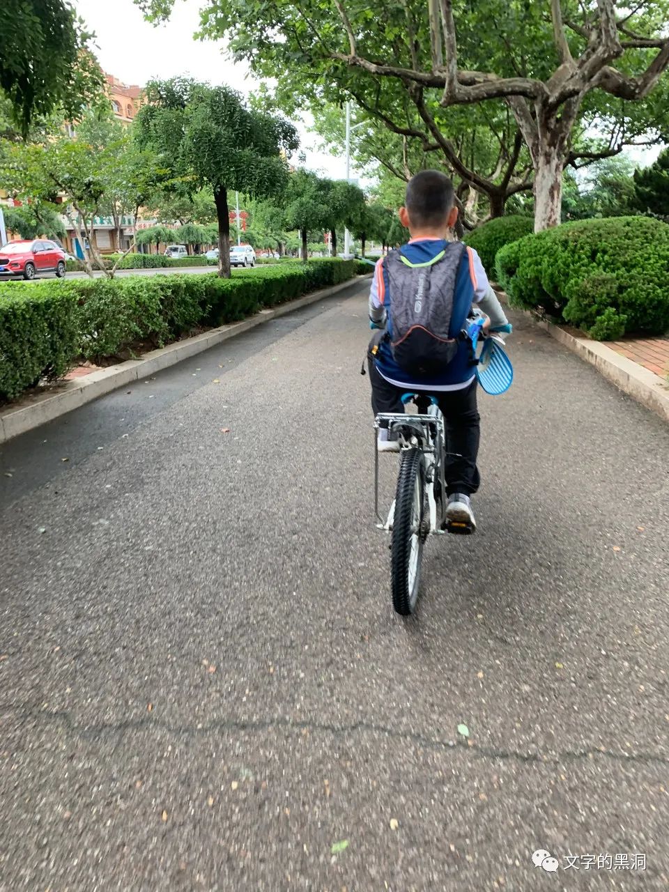 爸爸亲子夏令营,父子暑假旅行