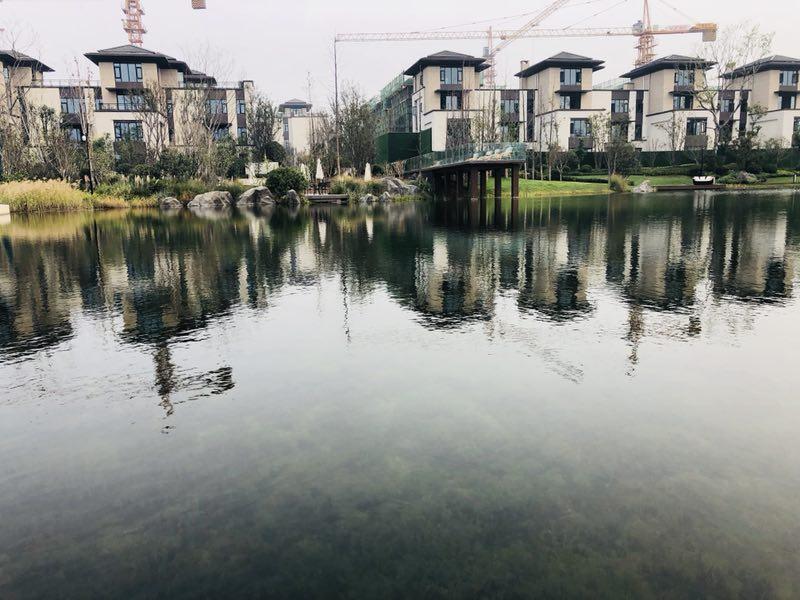 如果有一天我将老去英文歌,如果有一天我将老去女生版