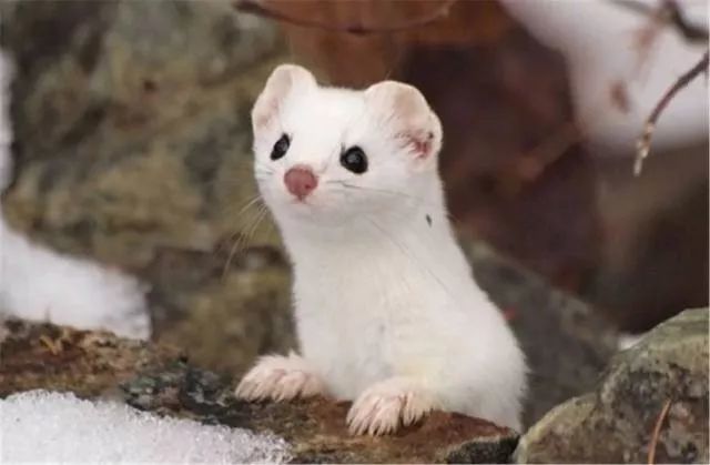 怎样缓解焦虑的情绪,缓解焦虑的音乐放松方法