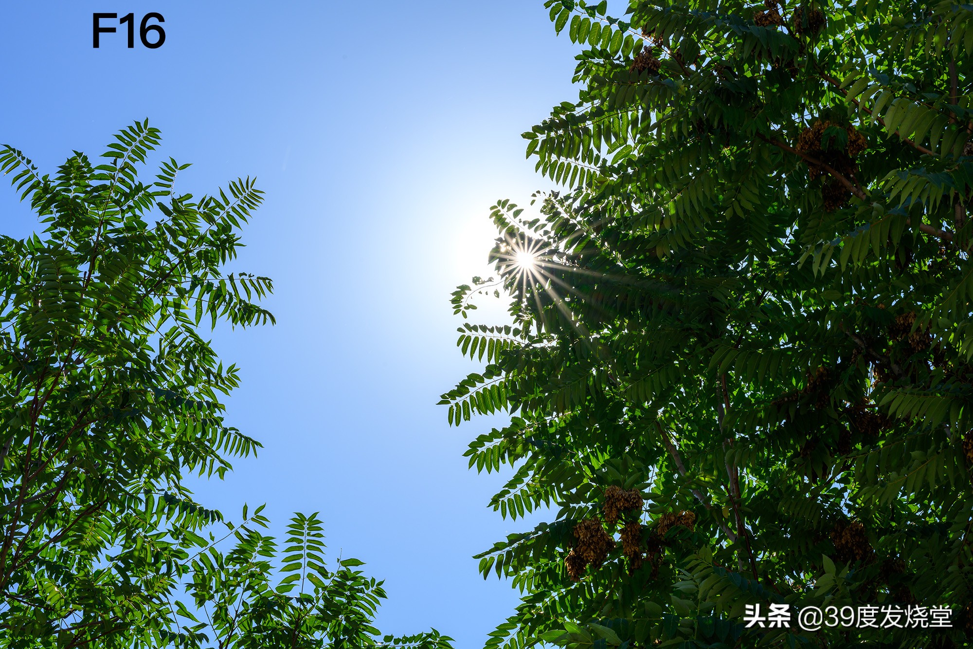 这5000元真值了！尼康Z85mmf/1.8轻量化人像镜头评测