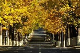 江西抚州最近的消息,抚州市最新消息今天