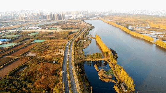 自贸区一手房首付20万,总价2万元一套精装房