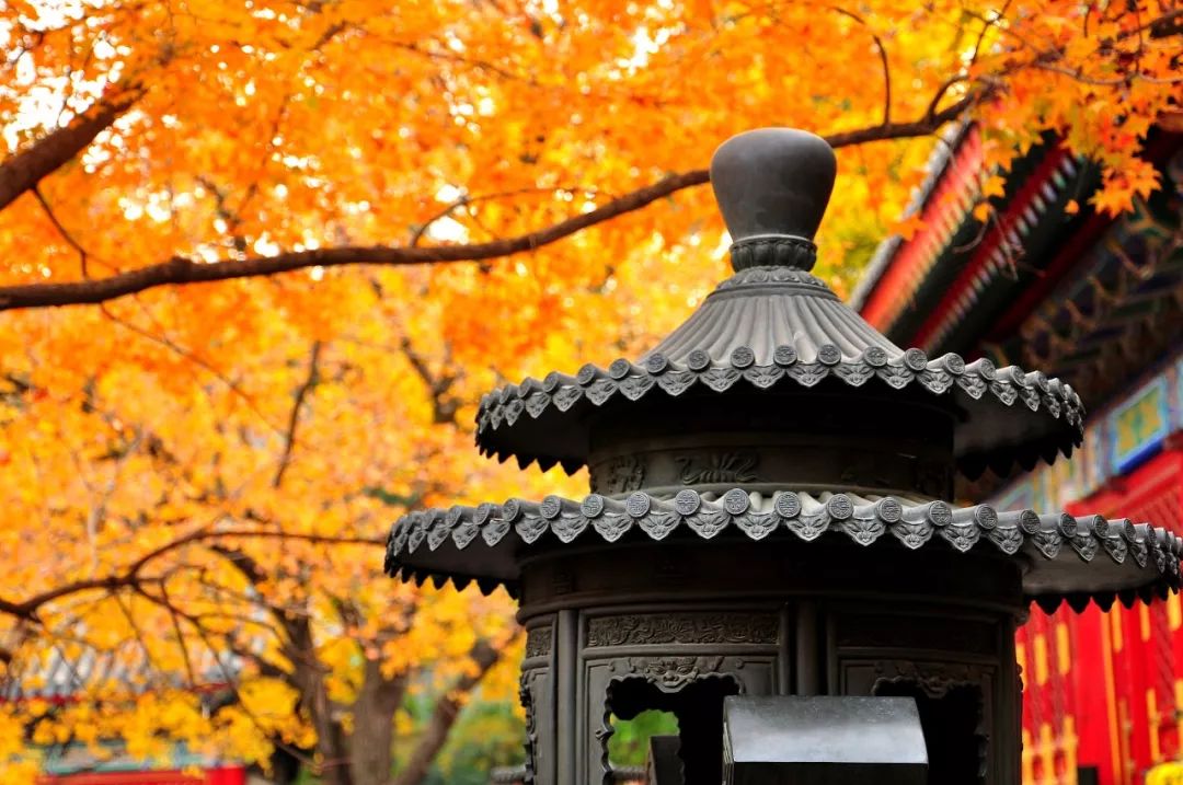 人健康的十大秘诀,10句健康箴言体勤益寿心静延年