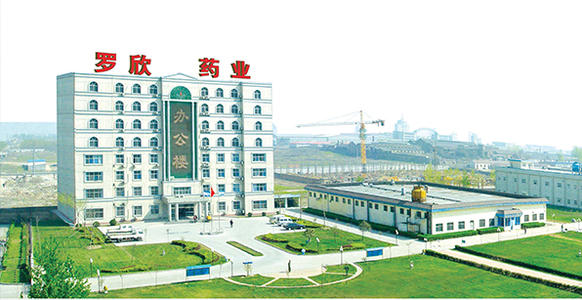 半年报净利润预计同比下滑,罗欣药业借壳上市是哪年