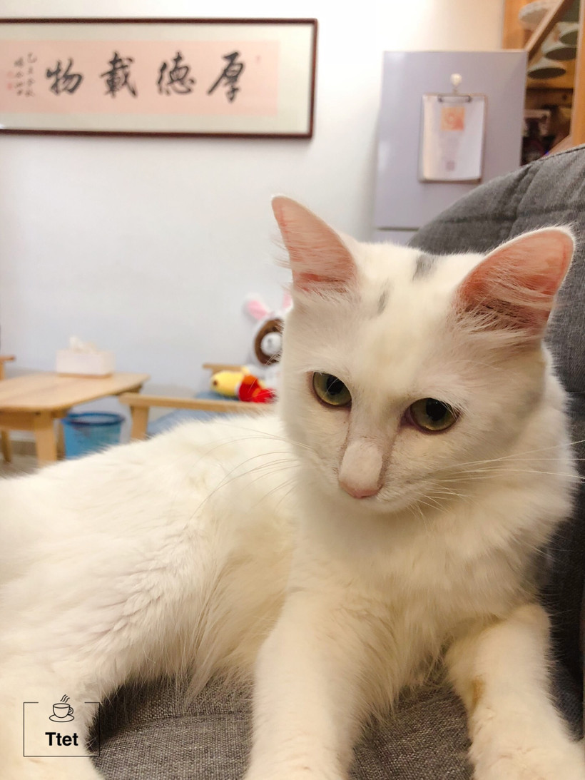 汕头|生存技能很多种,匠心制作咖啡一杯,为的就是等知心人