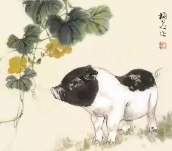 猪年国画：猪的绘画步骤