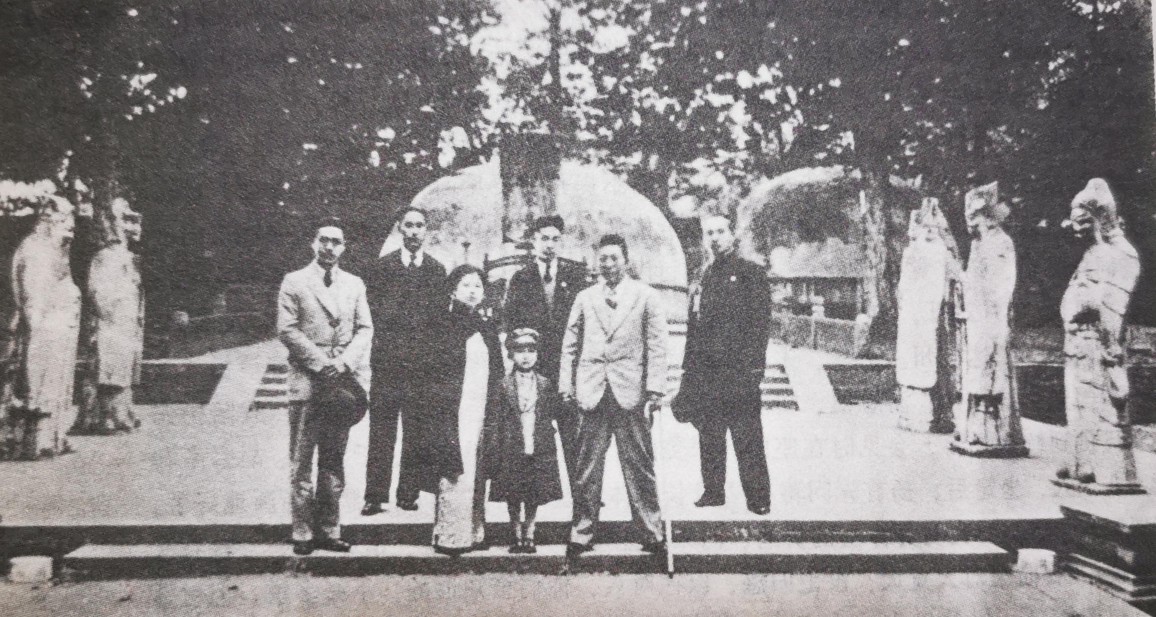 杨虎城一共有几个儿女,杨虎城的遗孀张蕙兰