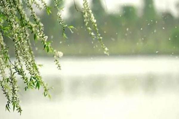 高考实用类文本阅读方法与例题,高考论述类文本阅读知识点总结