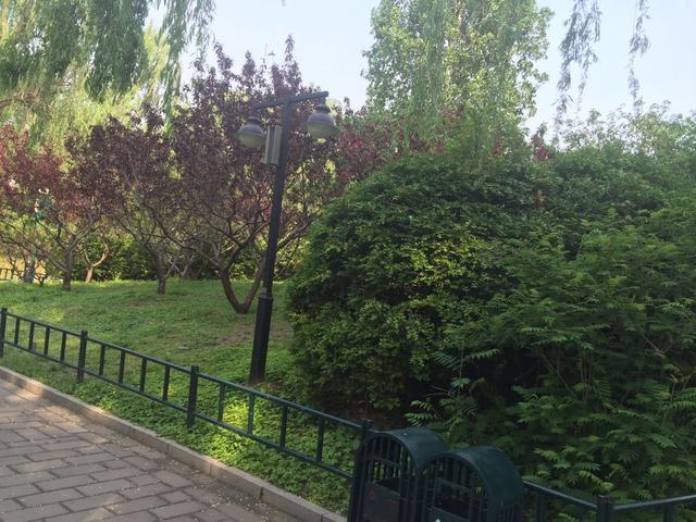 昌平夜景十大景点推荐,昌平旅游攻略探索昌平最美景点