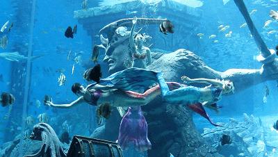 长沙市发布高温黄色预警,黄色高温预警是多少度