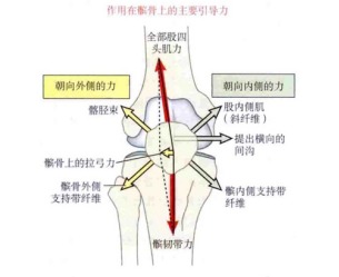 下蹲时膝关节疼痛可能是什么原因,膝关节下蹲到底时疼