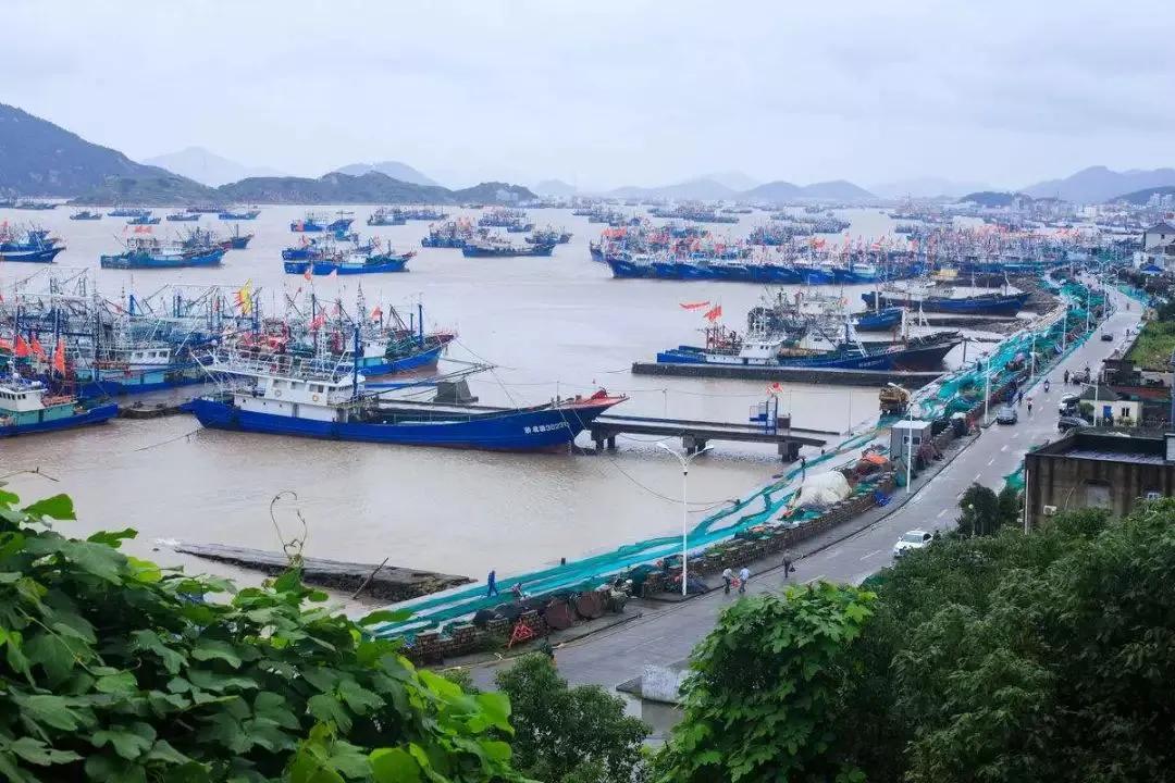 书藏古今港通天下,书藏古今港通天下央视