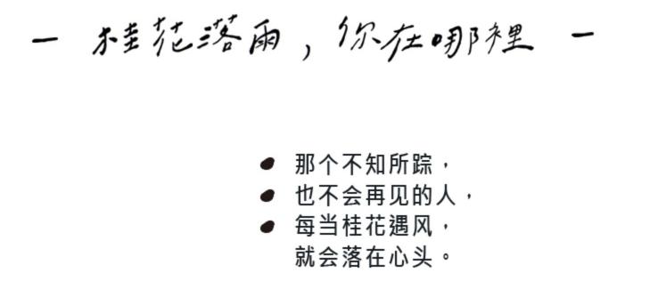 时尚平价淘宝店铺推荐文案大全,淘宝优质店铺怎么写文案吸引人