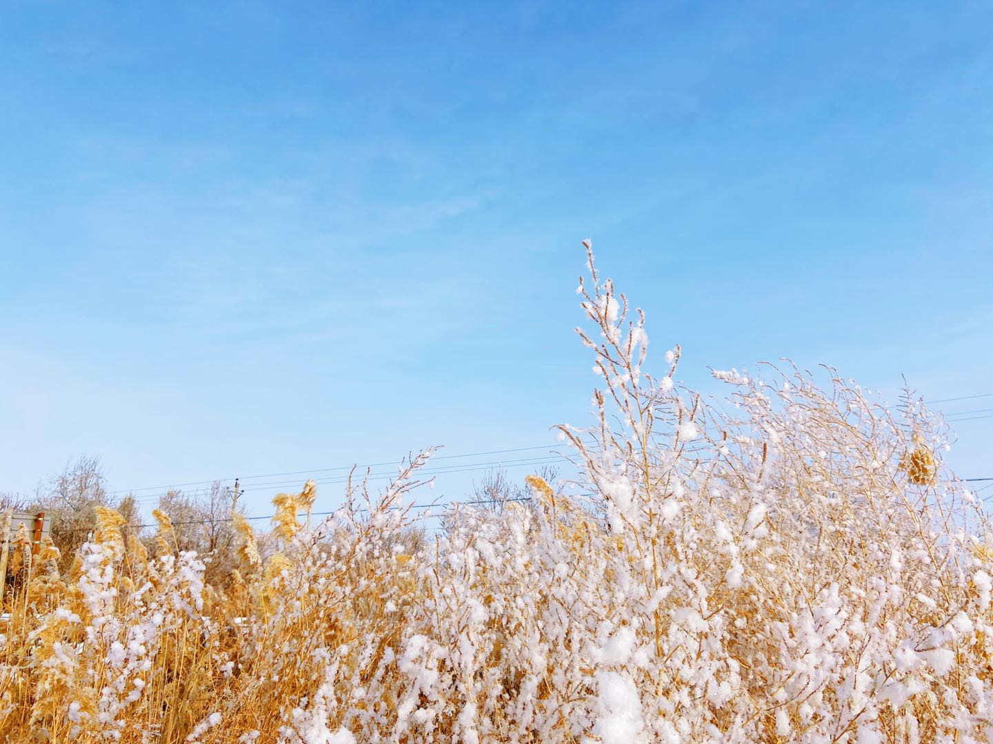 疫情期4000公里的团圆路—*疆新**