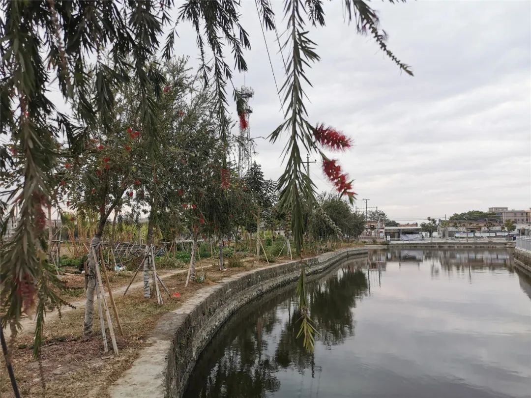 原平乡村振兴督导组,乡村振兴局开展乡村振兴工作督导