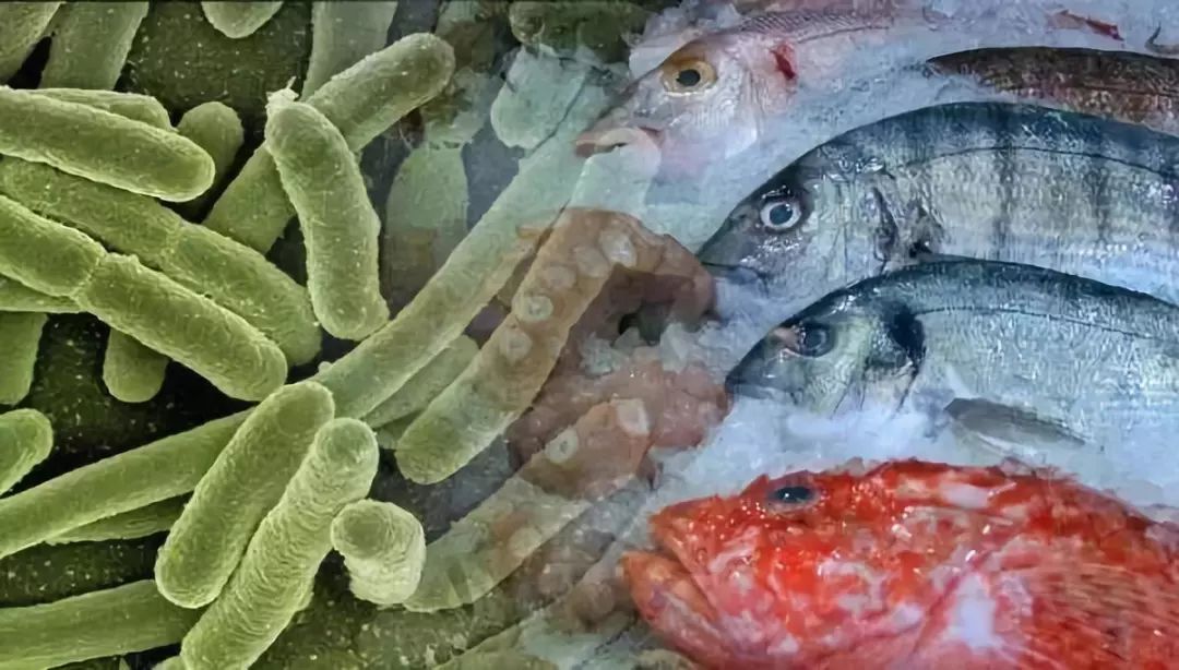 女子被福寿鱼刺戳伤手指险截肢,男子被鱼刺扎手竟需截肢才能保命