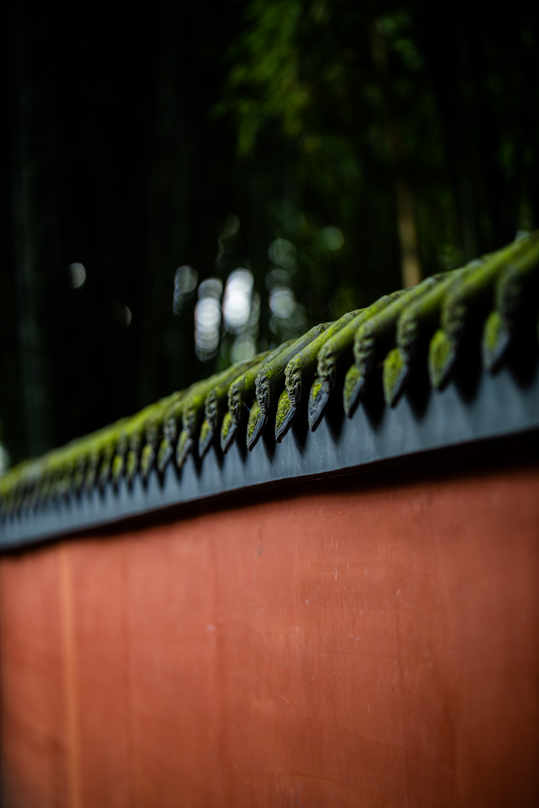 人像镜皇焦段,人像镜皇85mm1.2和1.8