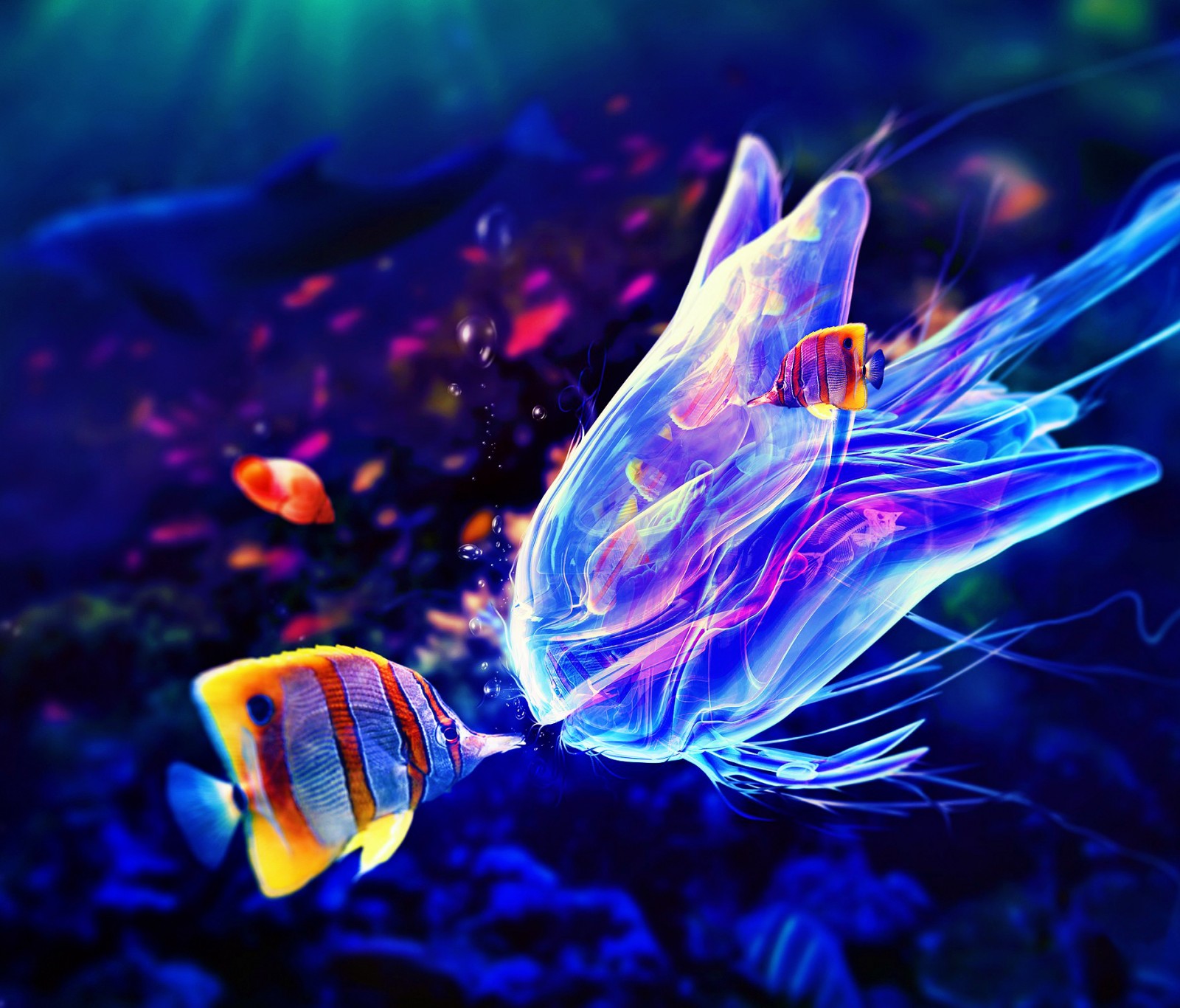 亚马逊新手卖家怎么运营,亚马逊新手小白卖家注意事项