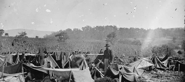 战场真有止痛剂吗,麻醉枪和麻醉药