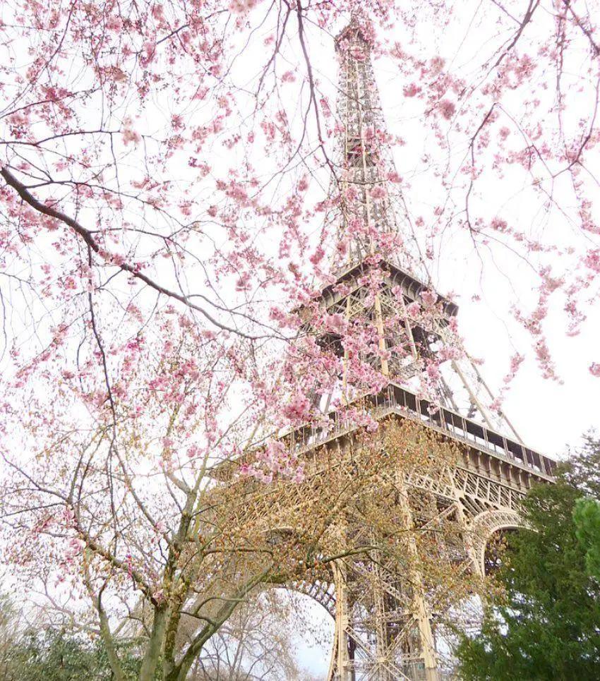 是心动啊，樱樱樱樱樱樱樱樱樱