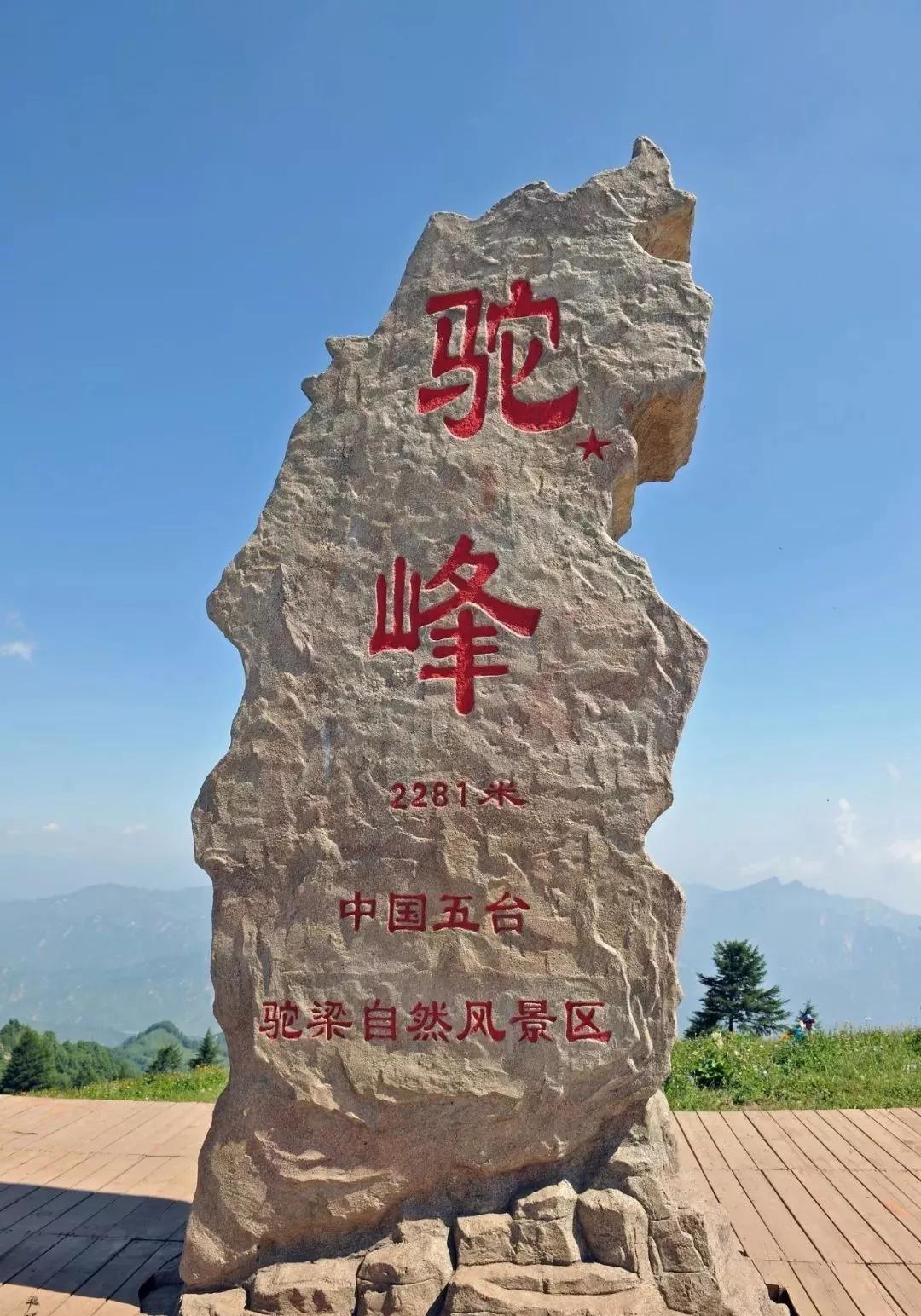 驼梁七月草原美，金莲妖娆入画里/郝贵云