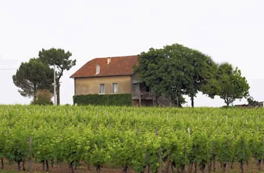 法国十大顶级酒庄排名,法国十大酒庄红酒品牌