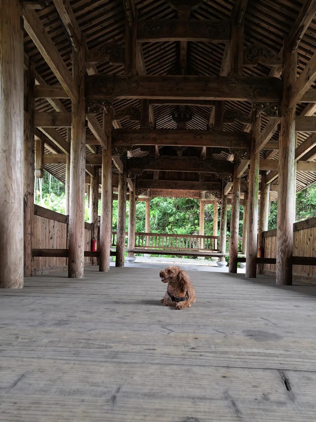 我要去旅行英文,我要去旅行完整版