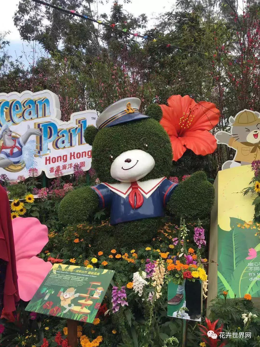 共赴盛会活动,香港国际花卉展