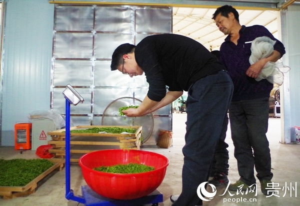 新春走基层农行人,新春走基层贵州千户苗寨