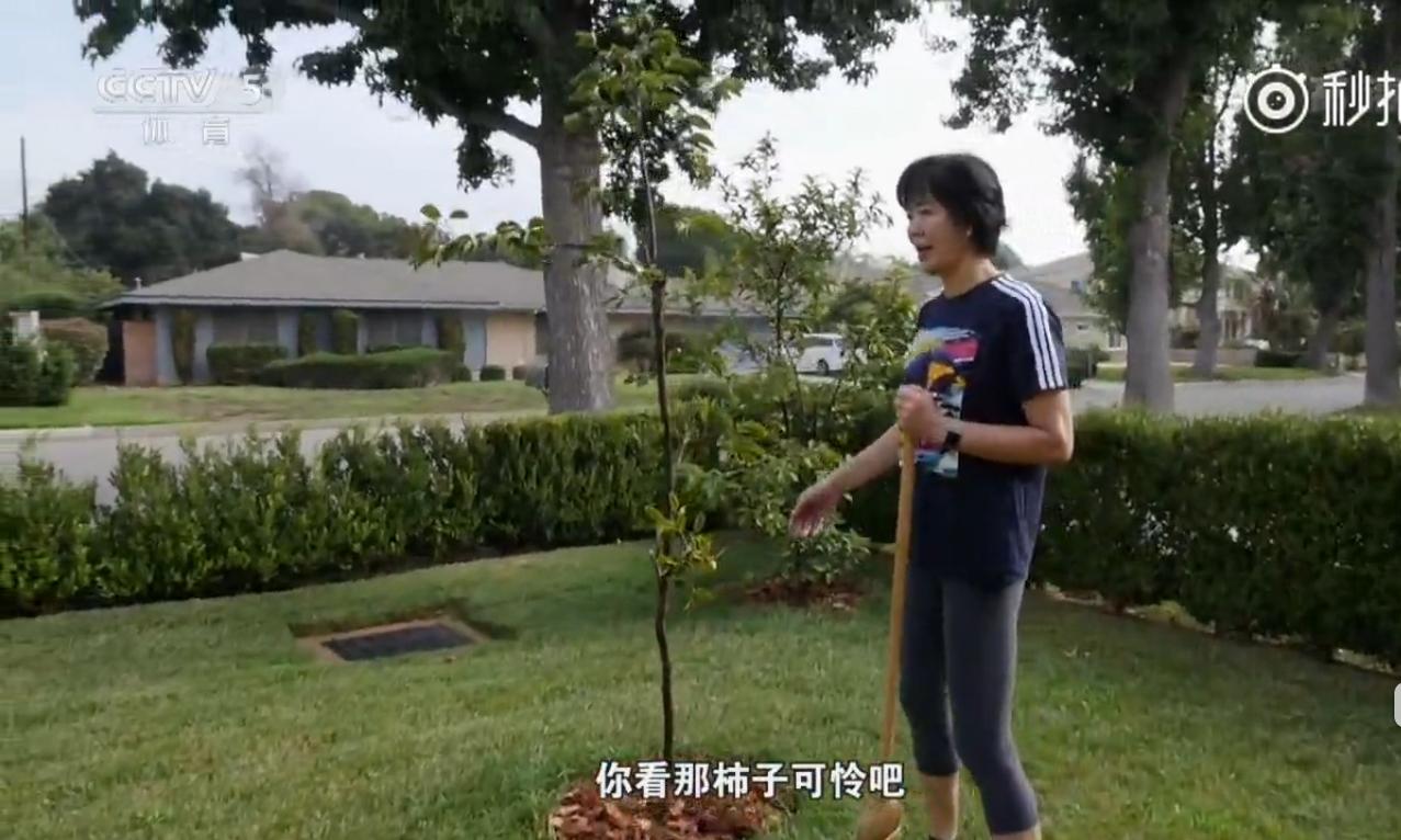 体育界名人豪宅,刘翔豪宅视频介绍