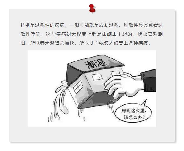 床上有螨虫放什么东西能除螨,床上螨虫和细菌最怕什么