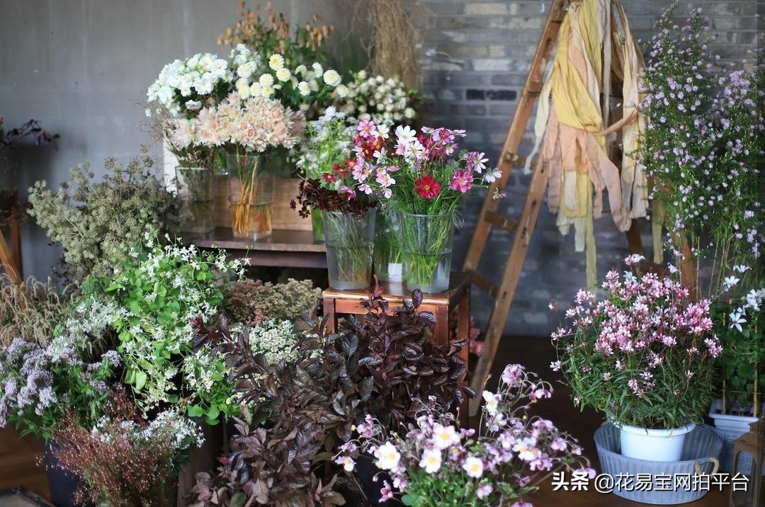 开花店需要的鲜花有哪些,开家鲜花店需要认识哪些花