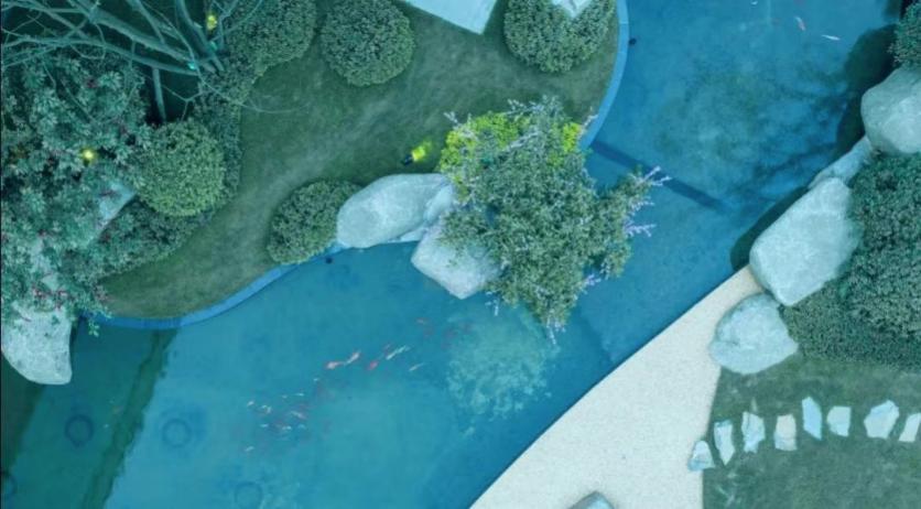 苏轼国民男神,斜杠男神苏东坡是怎样陨落的