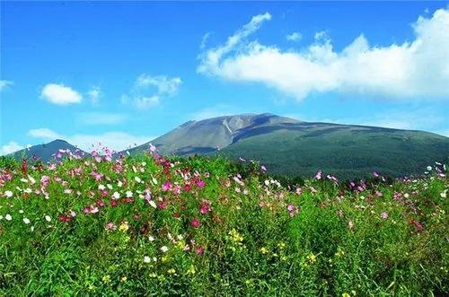 日本灌篮高手取景地打卡,灌篮高手拍照圣地