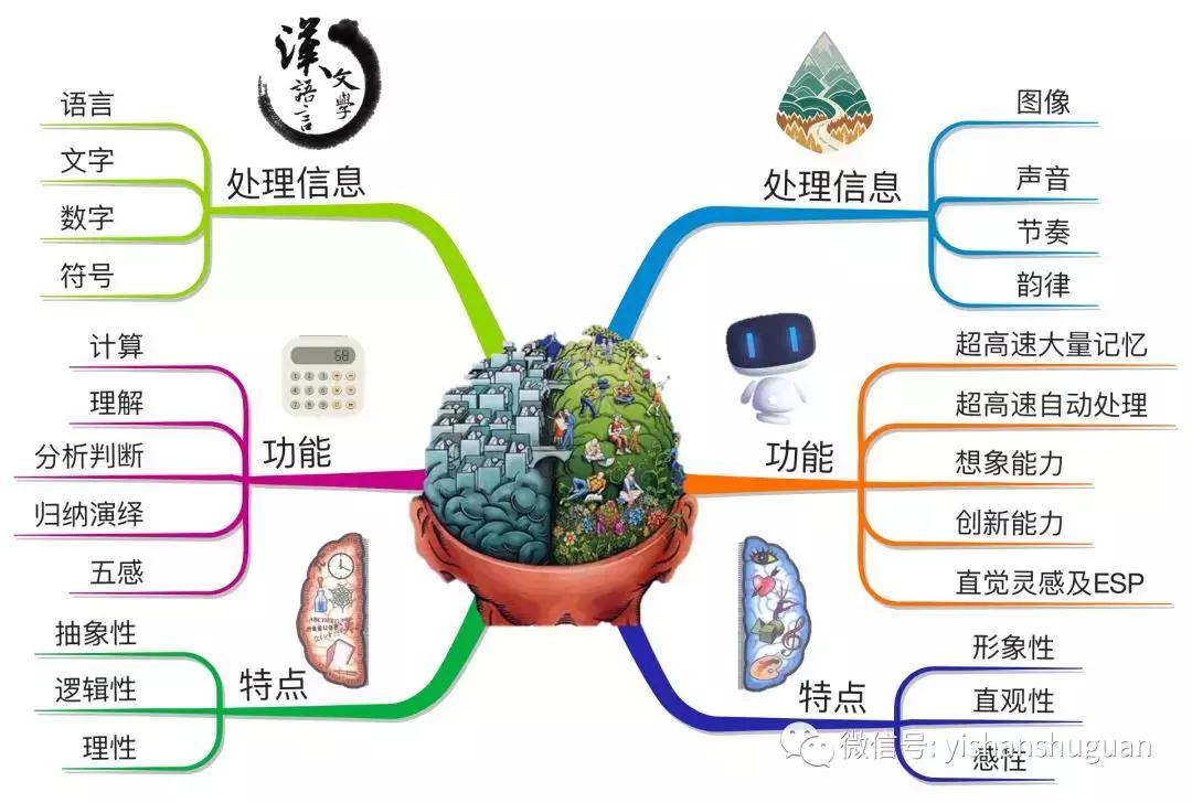 大脑思维导图培训课程,思维导图全脑
