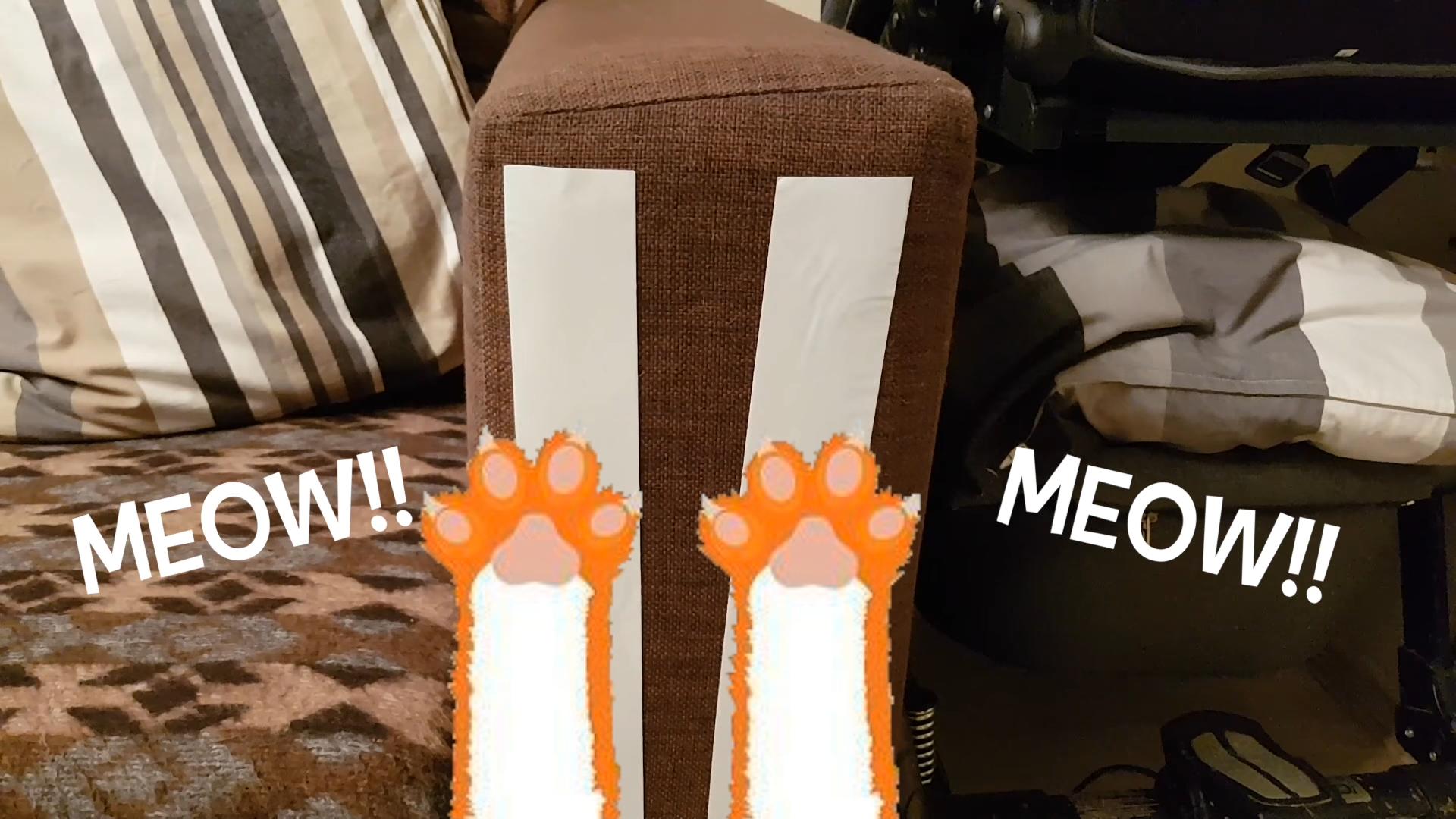 猫咪晚上挠柜子怎么处理,猫咪一直挠被子怎么办