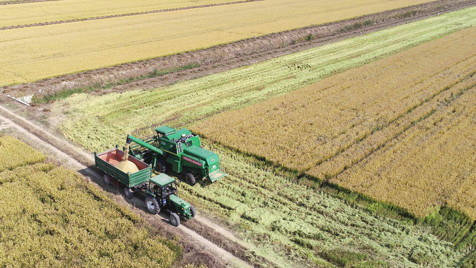 盐城大丰农场上海,盐城大丰生态农场