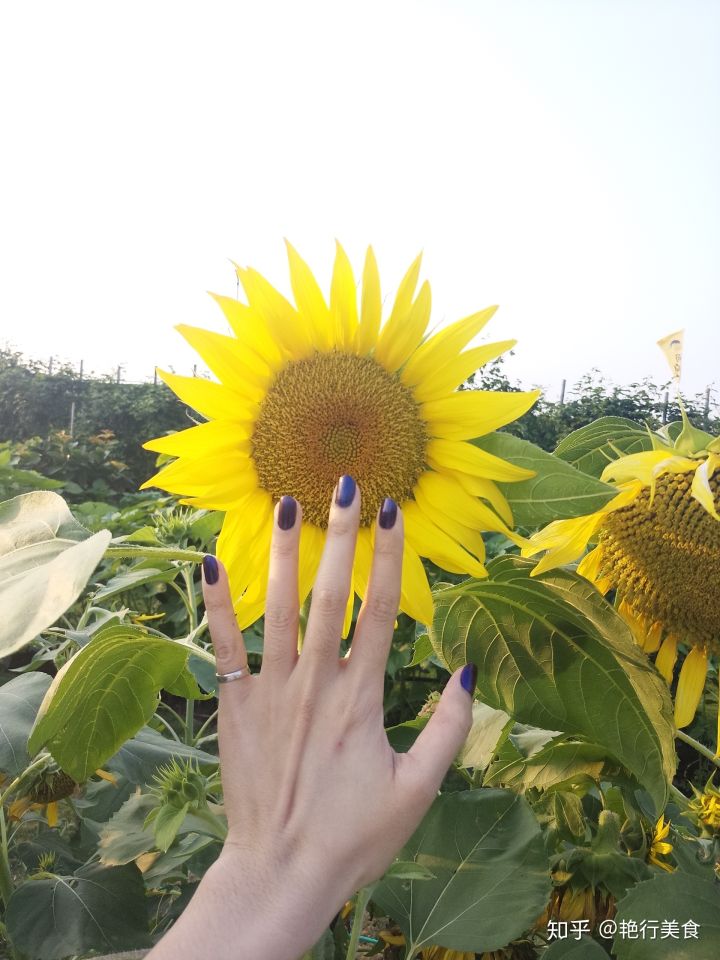 私厨好物,私物好物排行榜