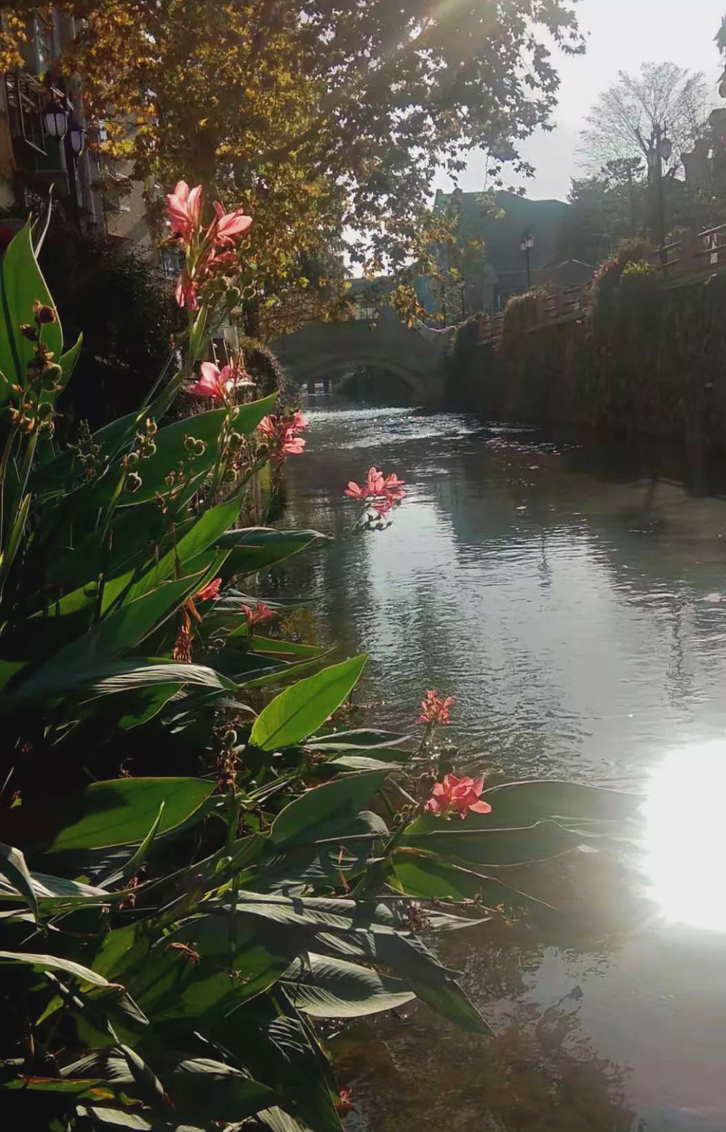 智运会开幕式,智运会地点