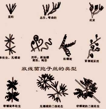 土壤病害最佳解决方法,土壤管理的目的是什么