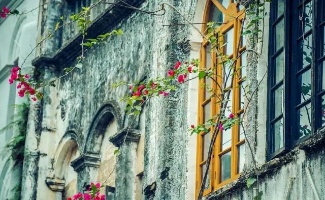 哪里的海岛比鼓浪屿好玩,跟鼓浪屿一样的小岛