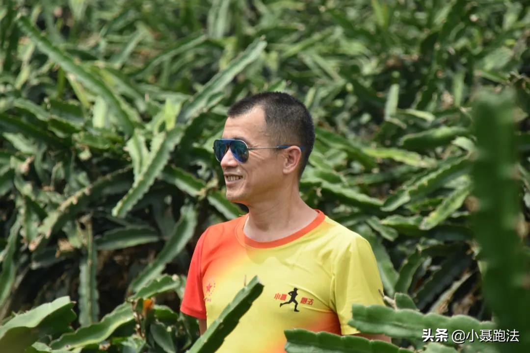 小聂跑步技术视频,小聂跑法是否科学