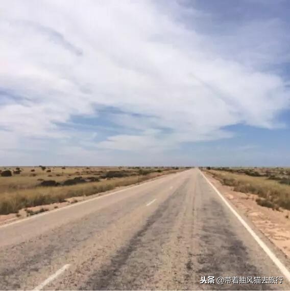 澳大利亚极致之旅,来澳大利亚必买